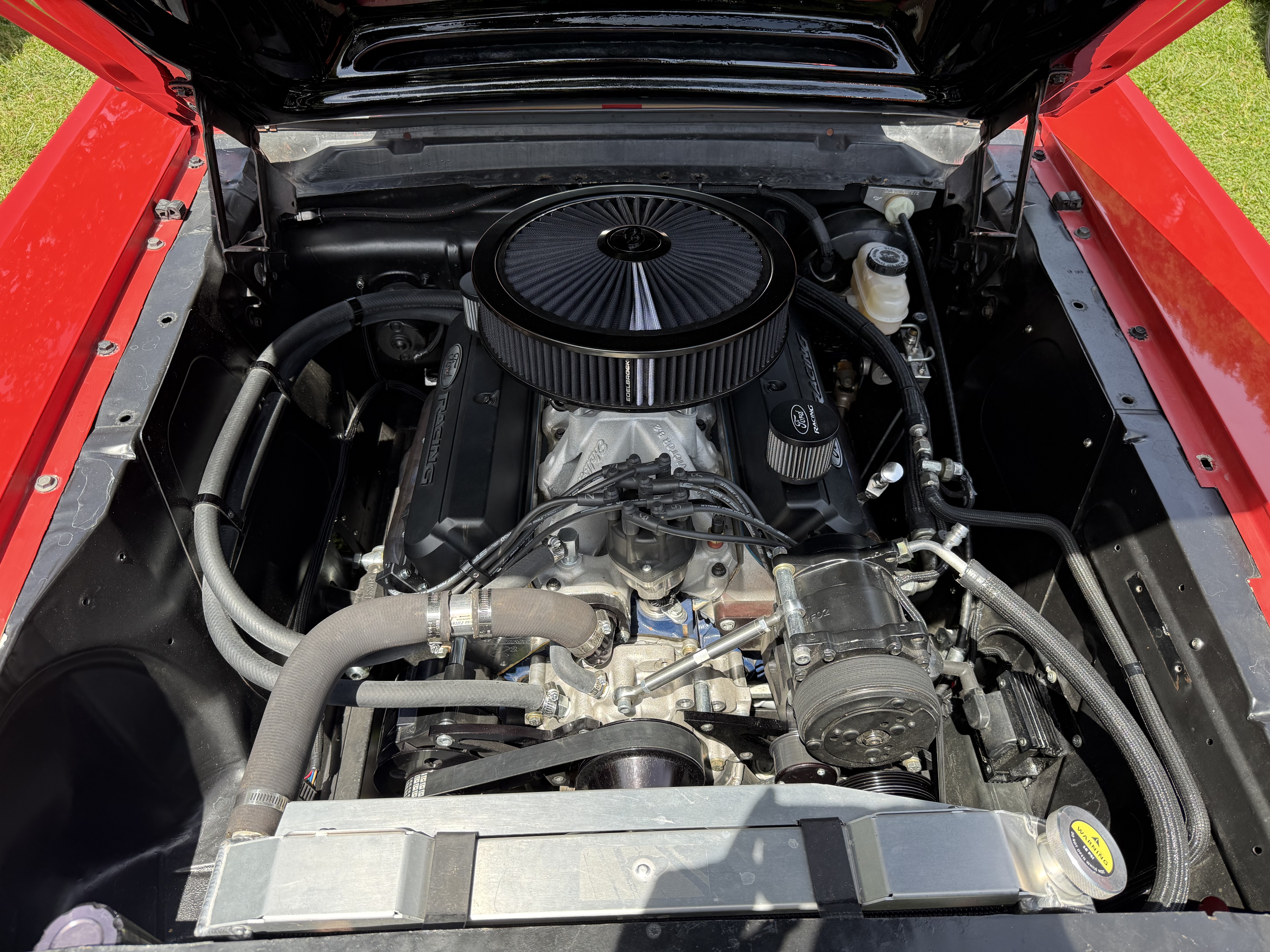 Engine Bay — Red Mustang V8