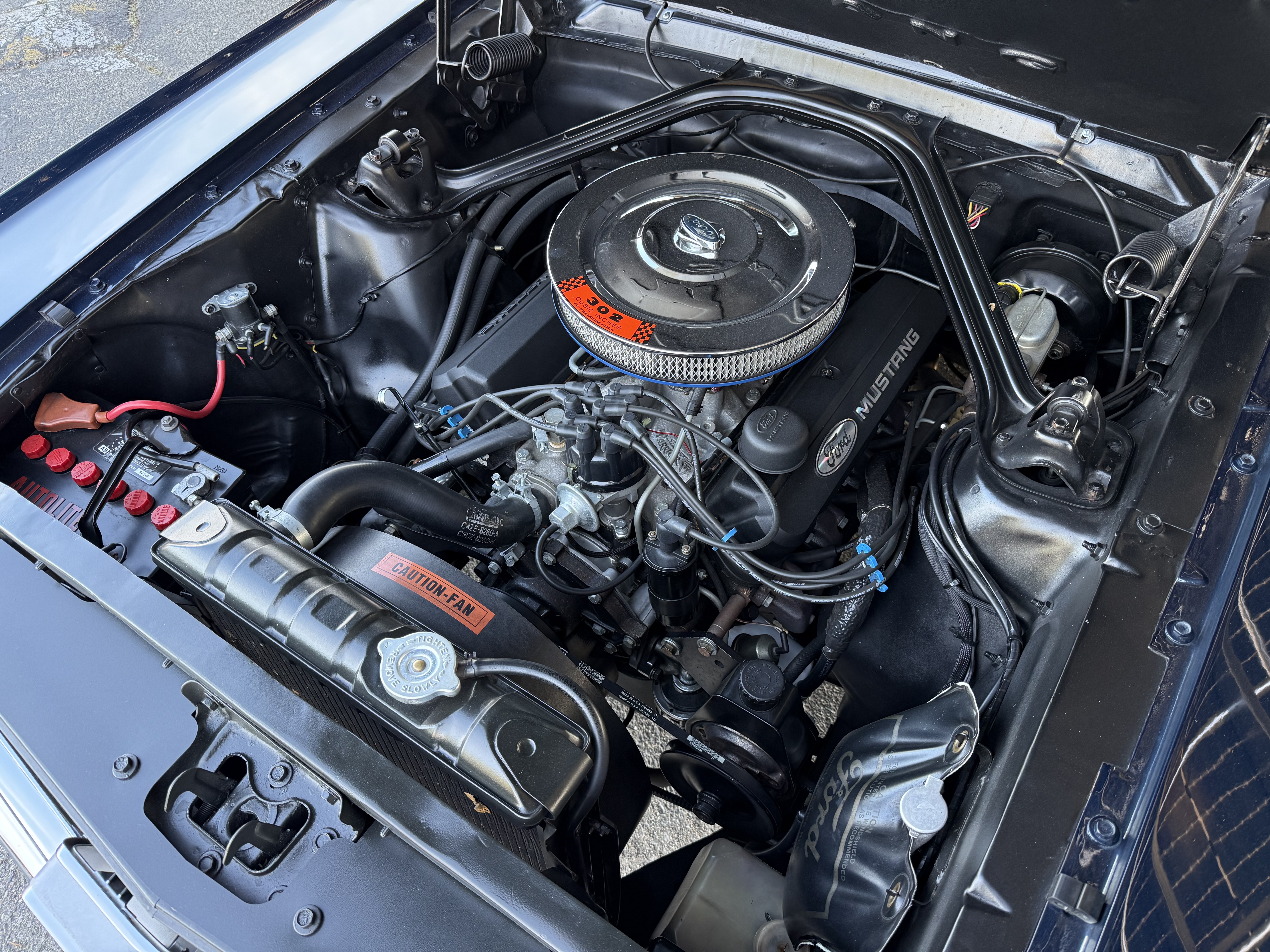 Engine Bay — Silver Mustang V8