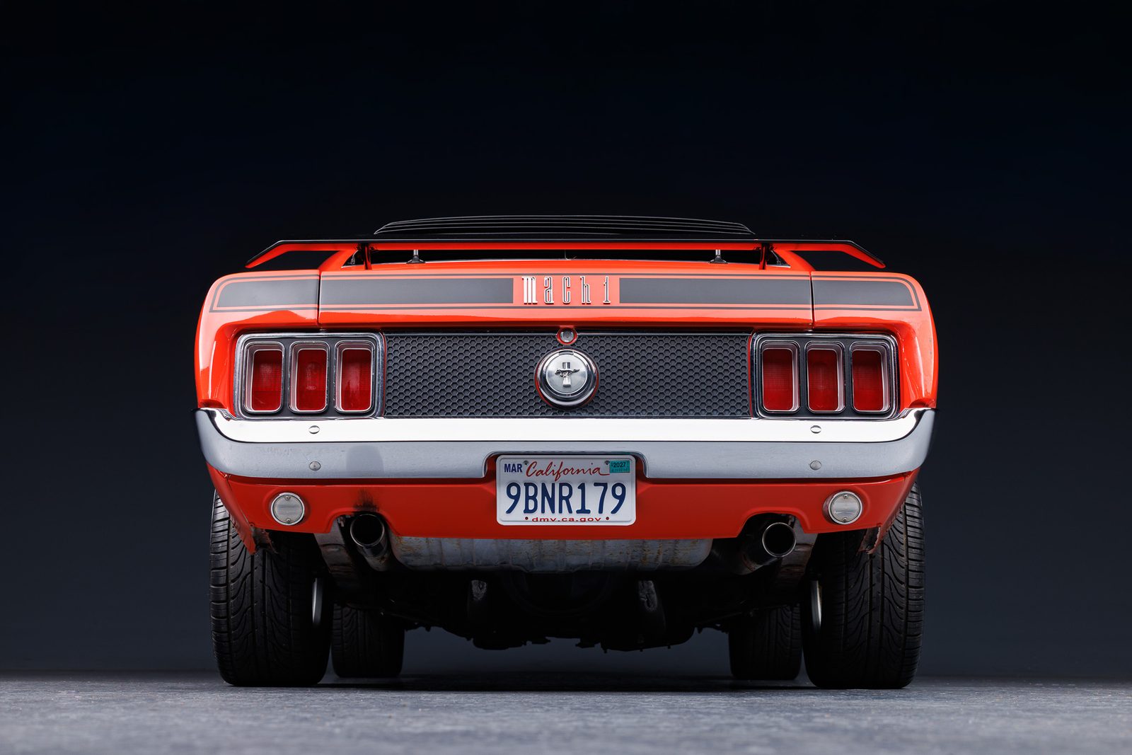 Calypso Coral Mach 1 rear head on