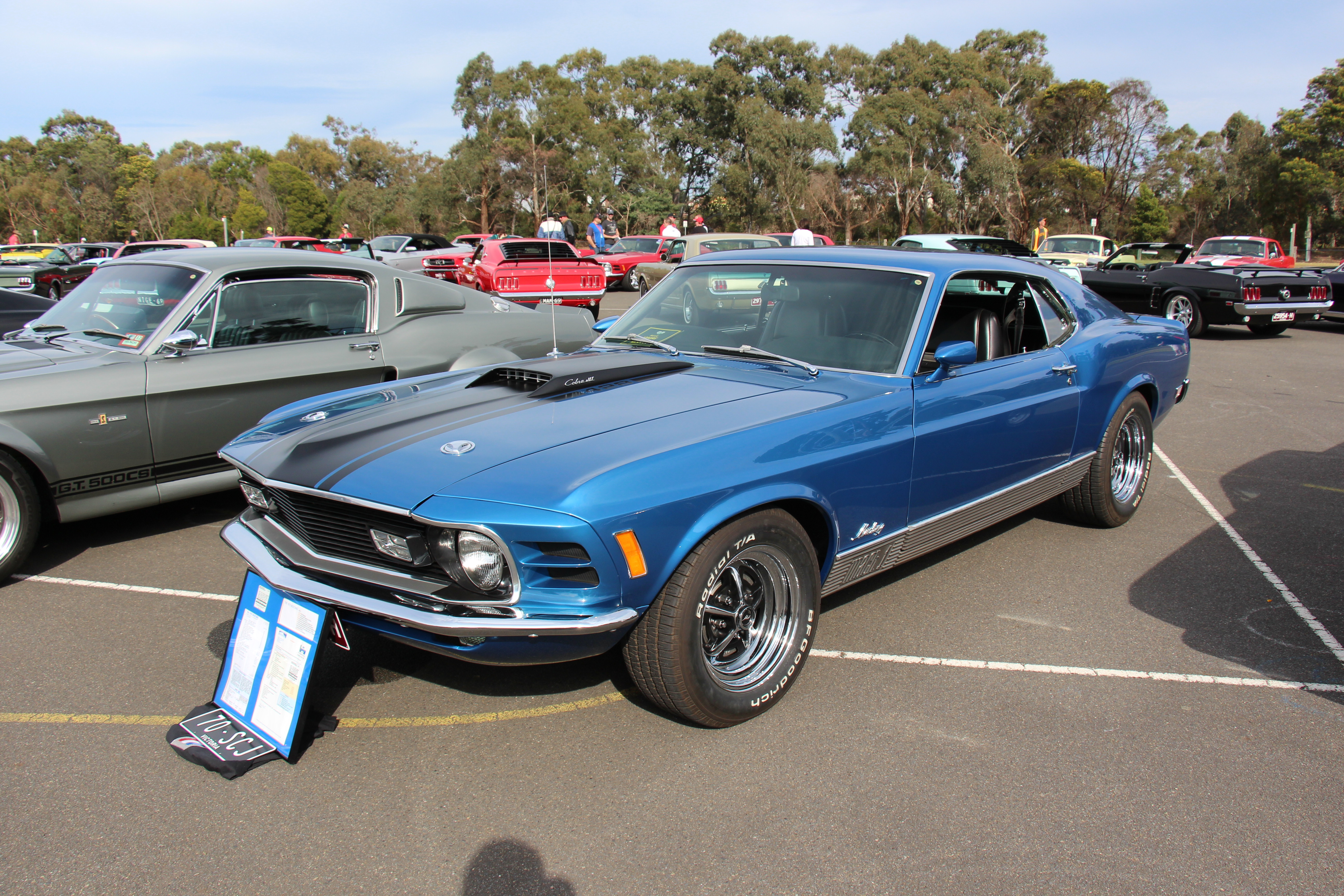 428 SCJ Sportsroof