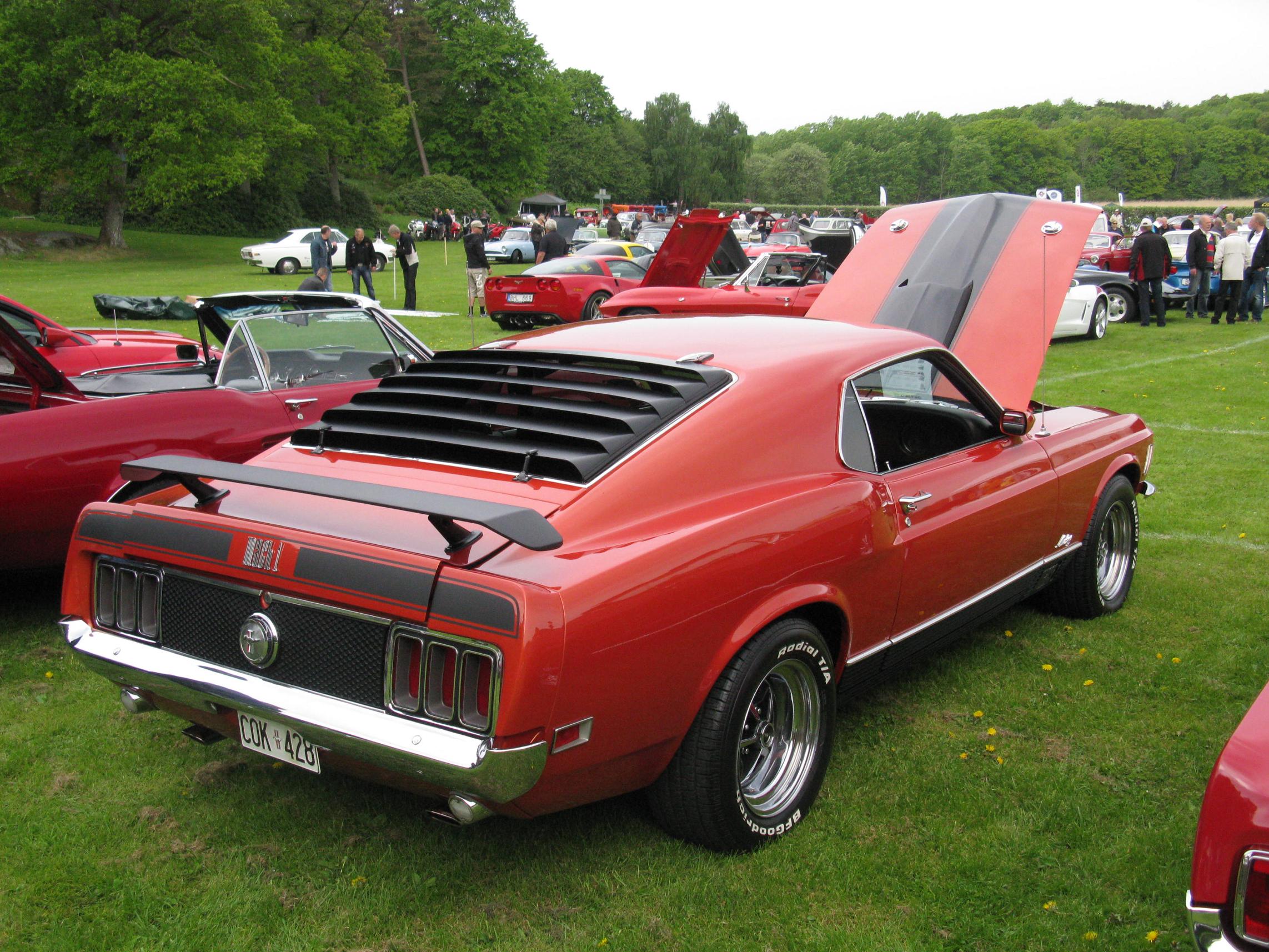 1970 Mach 1 Show Car Detail