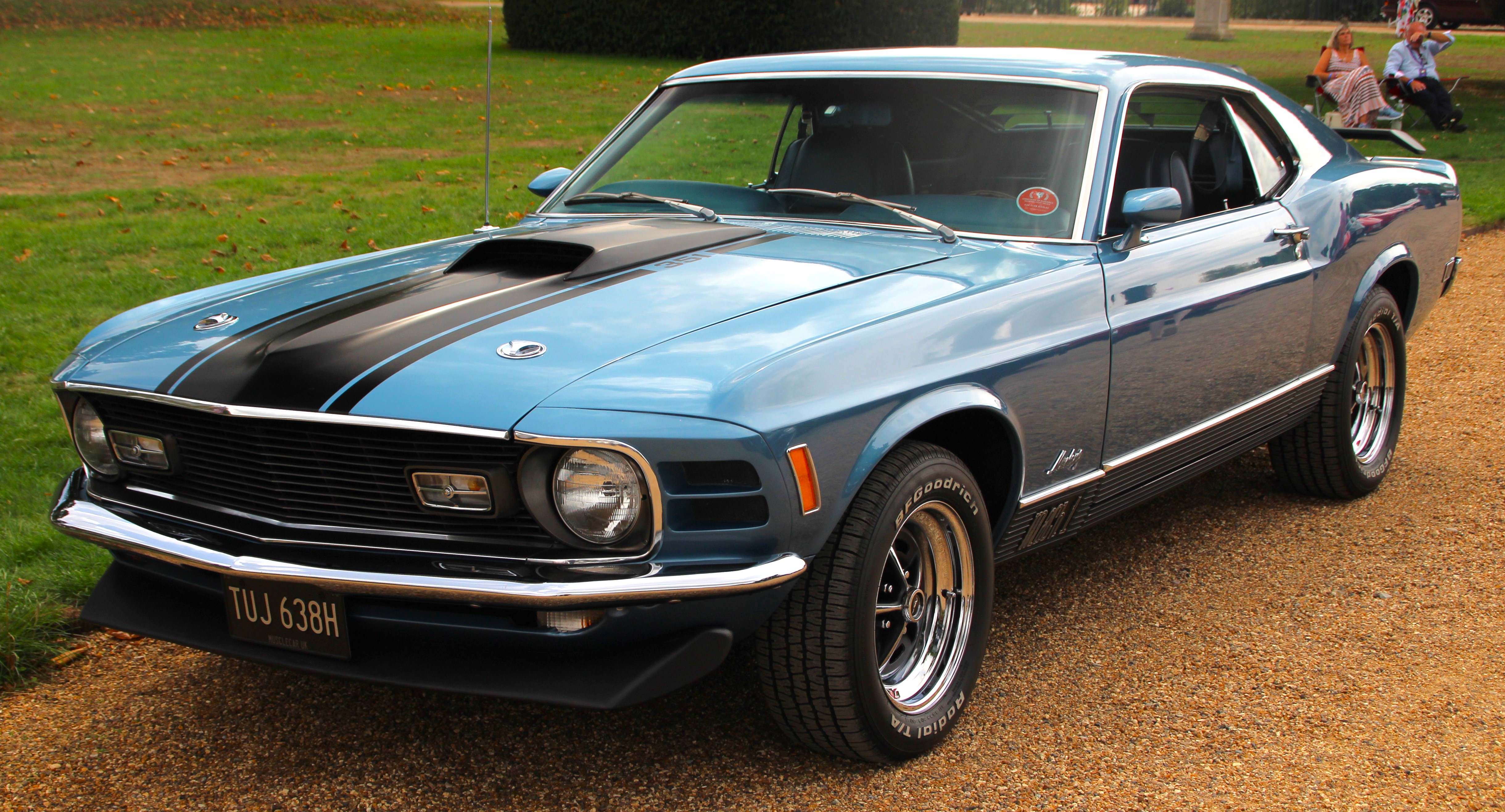 1970 Mach 1 Full Side Profile